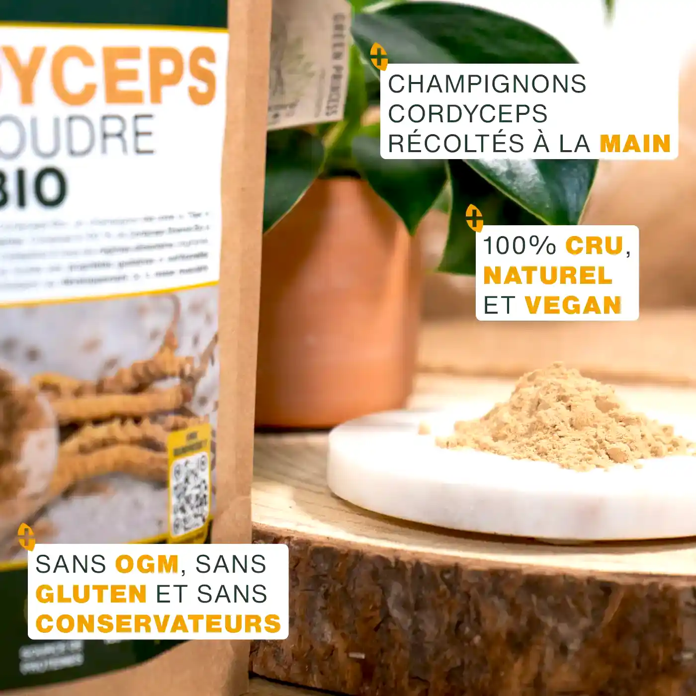 Cordyceps en poudre Bio 150g - Image 3