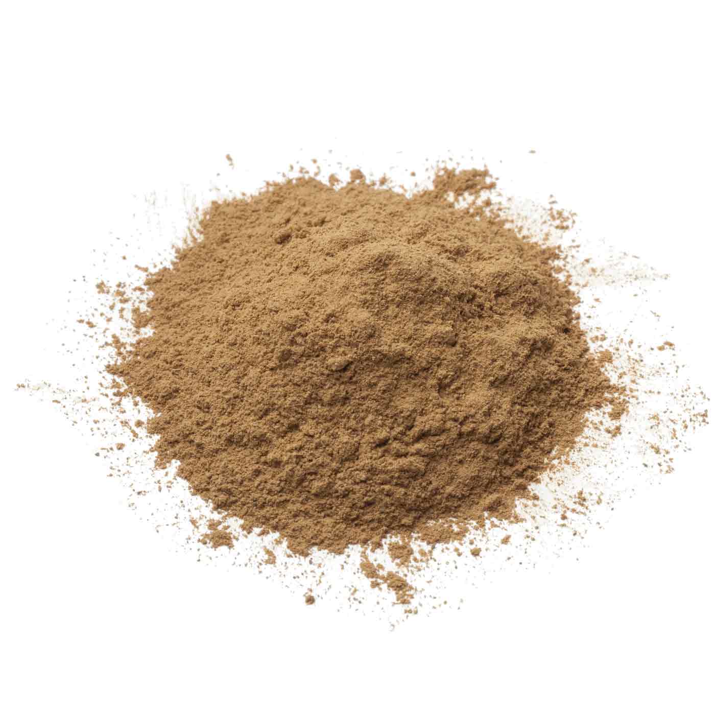 Cordyceps en poudre Bio 50g - Image 6
