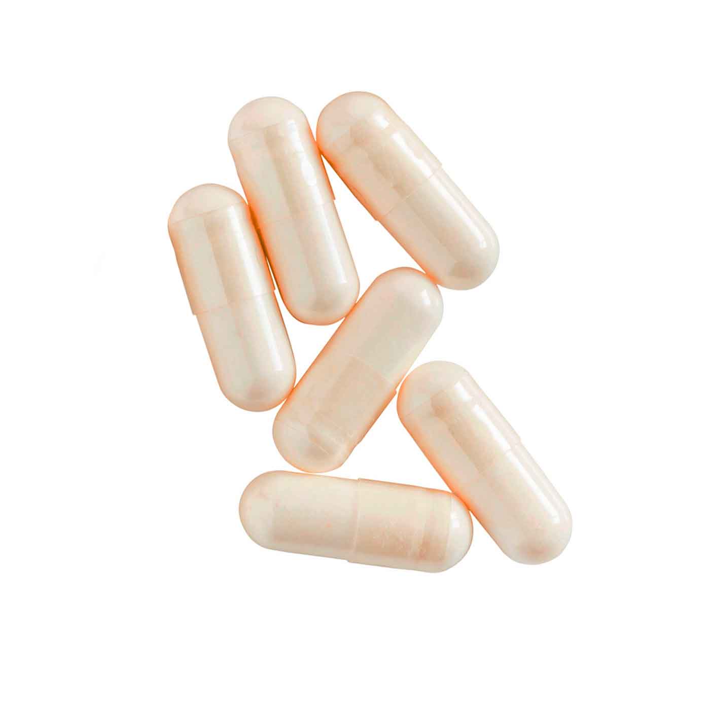 Cynorrhodon Bio, Extra Fort | 90 gélules - Image 5