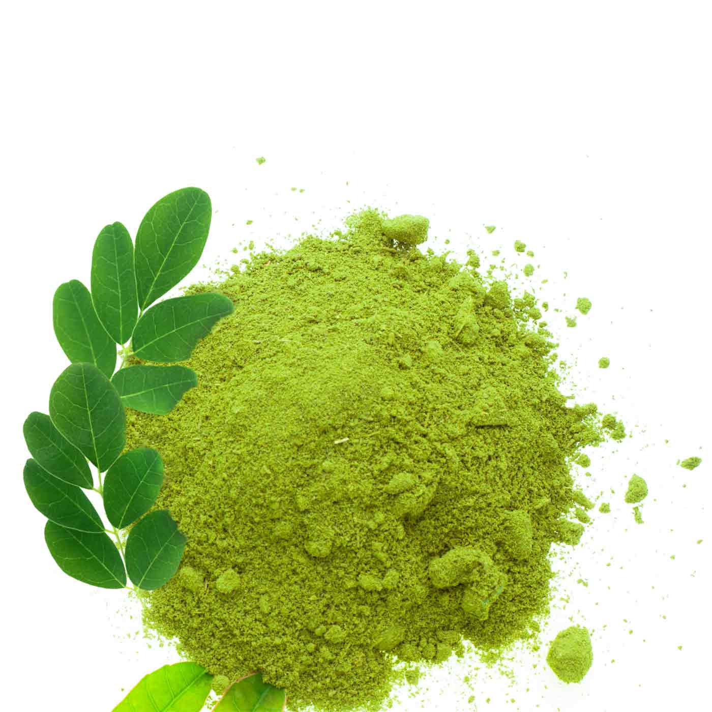 Moringa en poudre Bio 500g - Image 6