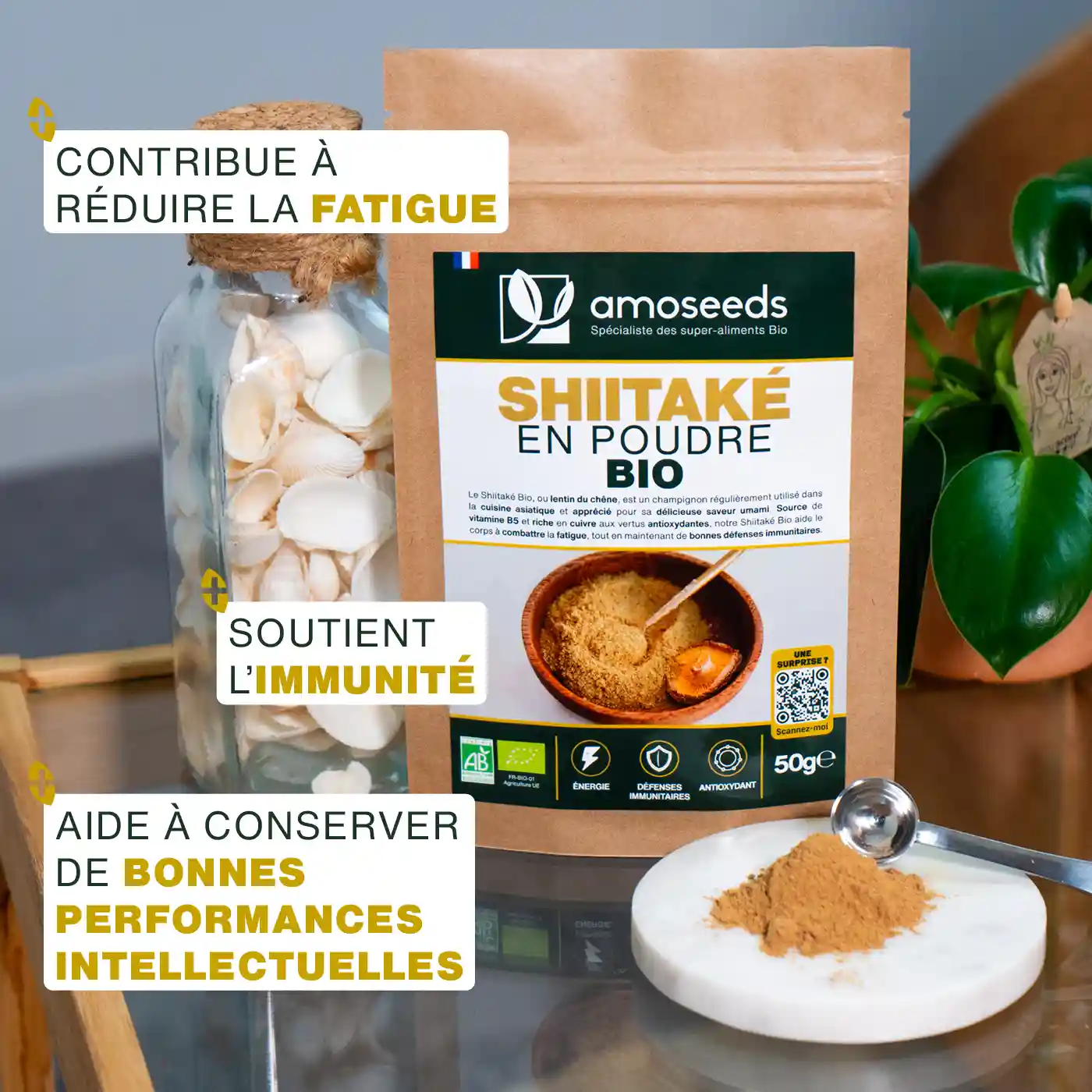 Shiitaké en poudre Bio 150g - Image 2