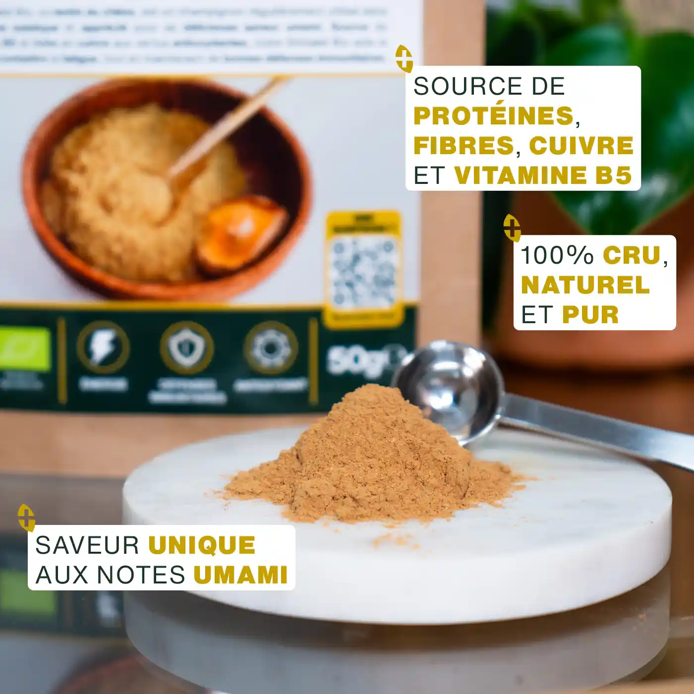 Shiitaké en poudre Bio 150g - Image 3