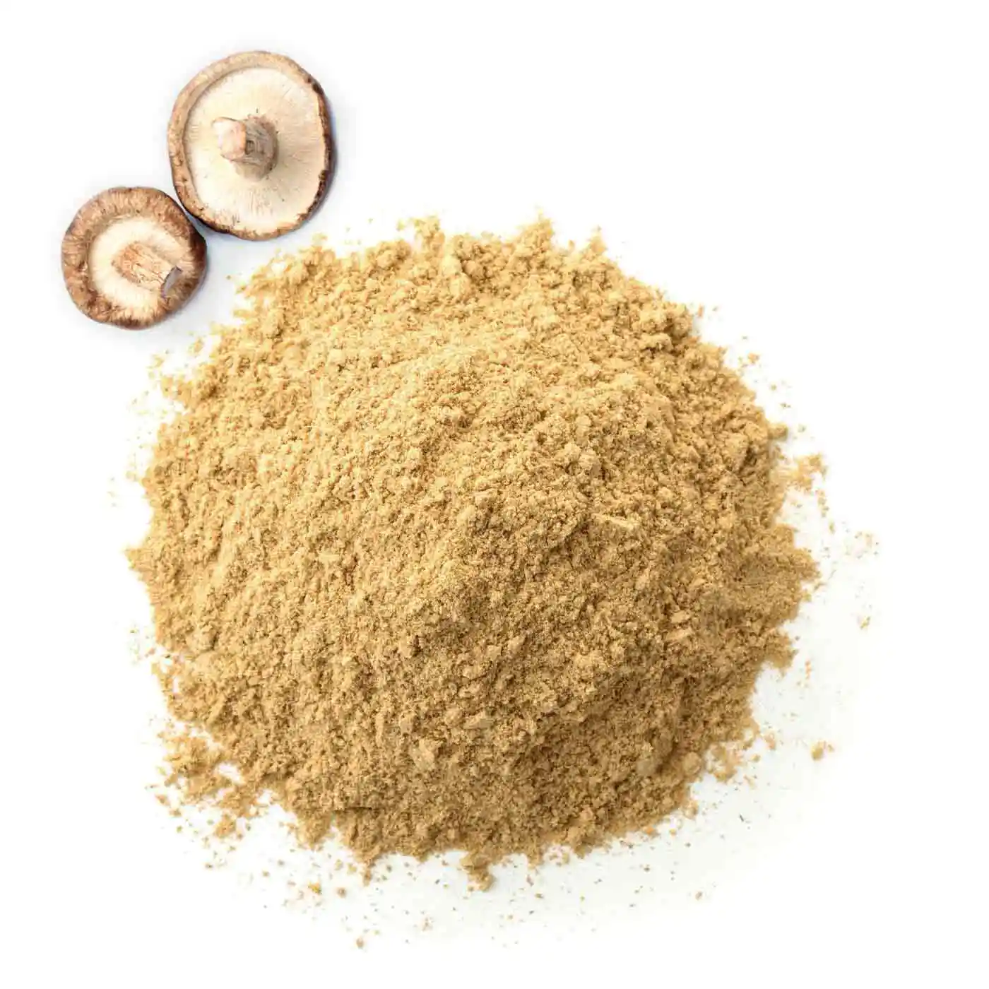 Shiitaké en poudre Bio 150g - Image 6